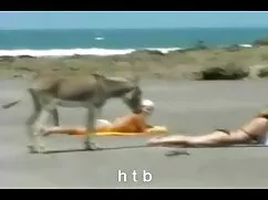 Hai tóc Đen và-nhiều ...