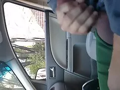 sex phim heo tai ve